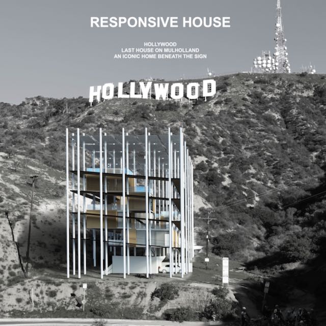 View and foreground context near the Hollywood Sign